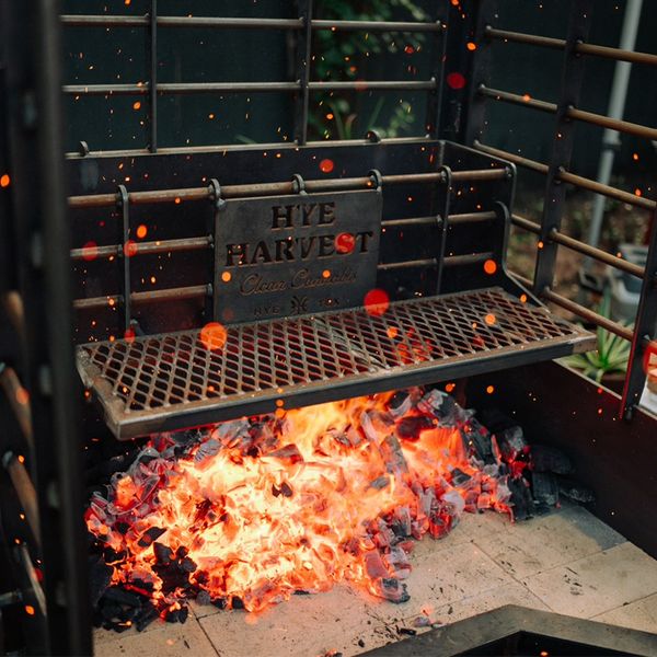 BBQ fire under a grill. 